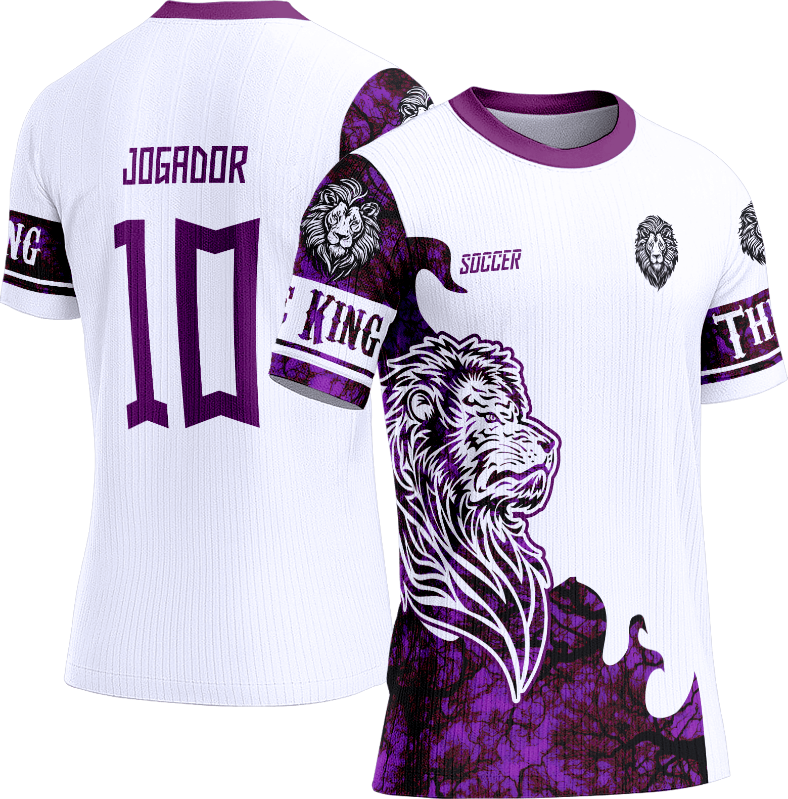 Arte Vetor Camisa Interclasse 563 Leão